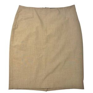 The Limited Pencil Suit Skirt